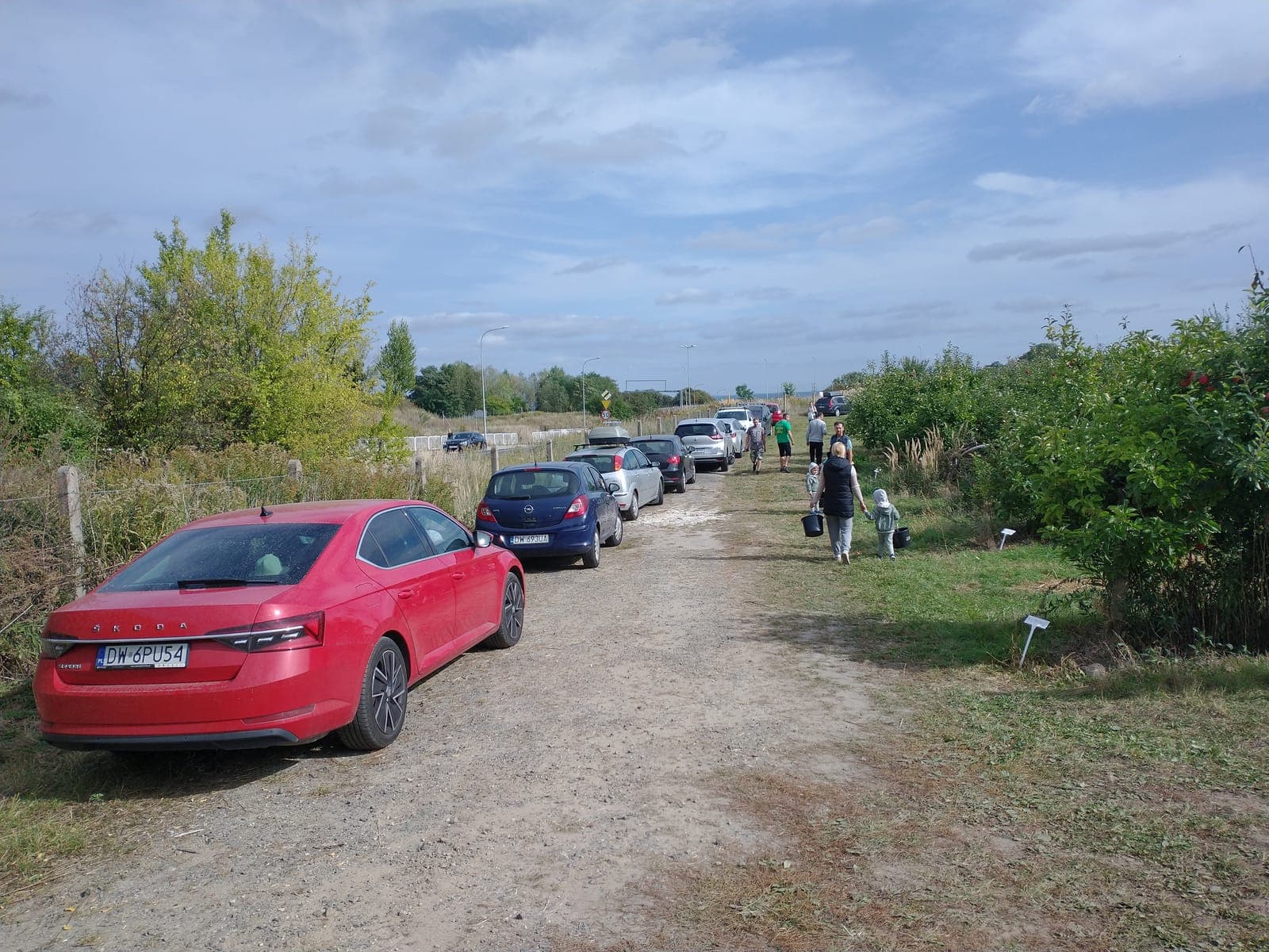 Goście Jabłkobrania przybywają — samochody przy polnej drodze do sadu