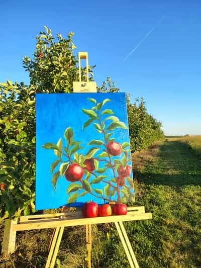 Obraz jabłek na sztaludze — plenerowe malowanie podczas Jabłkobrania