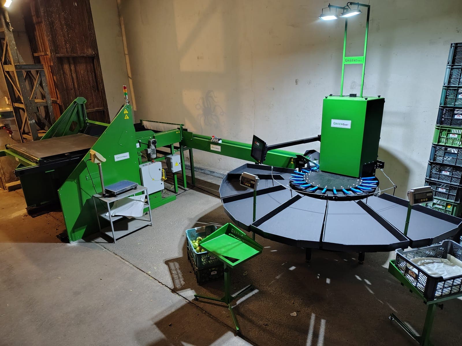 Sortownica jabłek — nowoczesna maszyna do sortowania owoców